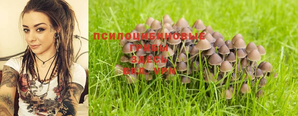 а пвп мука Алексин