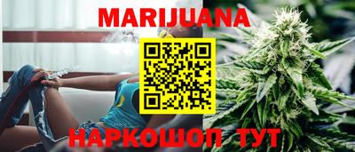 стафф Кингисепп