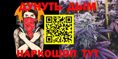 гашик Кинель