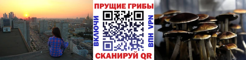 наркошоп  Карпинск  Псилоцибиновые грибы GOLDEN TEACHER 