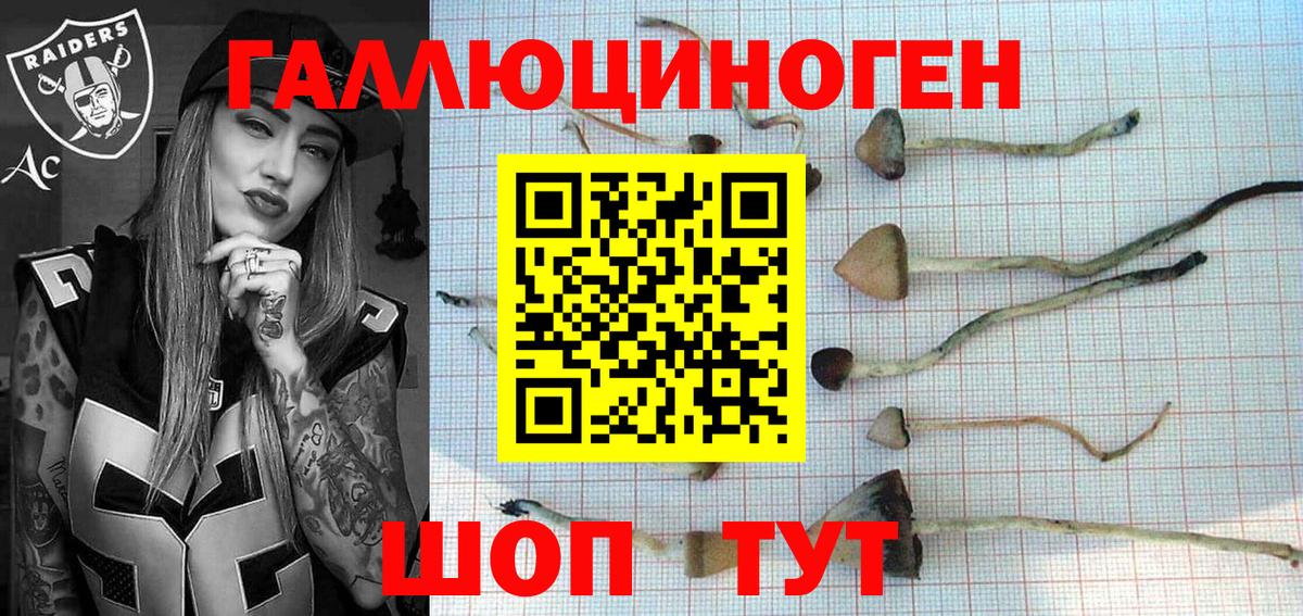 Карпинск  Галлюциногенные грибы Psilocybe  Вход с VPN 